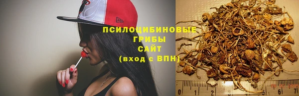 ALPHA PVP Волосово