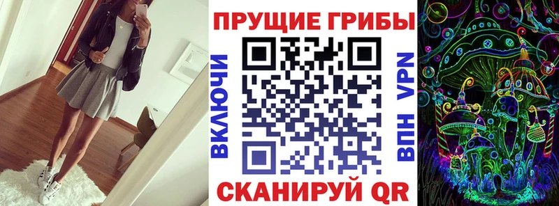 Псилоцибиновые грибы GOLDEN TEACHER  Плёс 